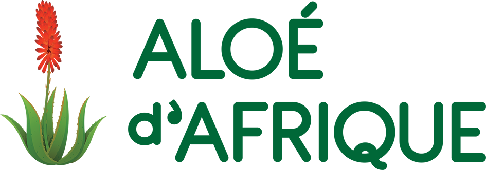 Aloé d'Afrique